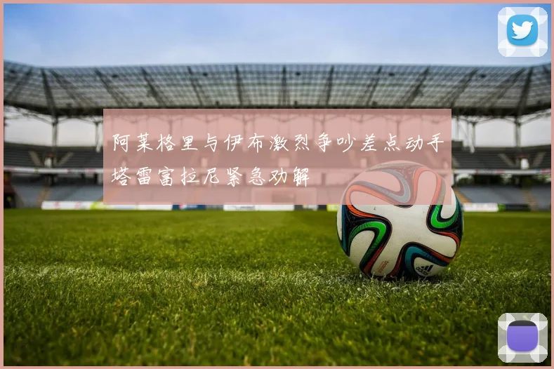 阿莱格里与伊布激烈争吵差点动手塔雷富拉尼紧急劝解
