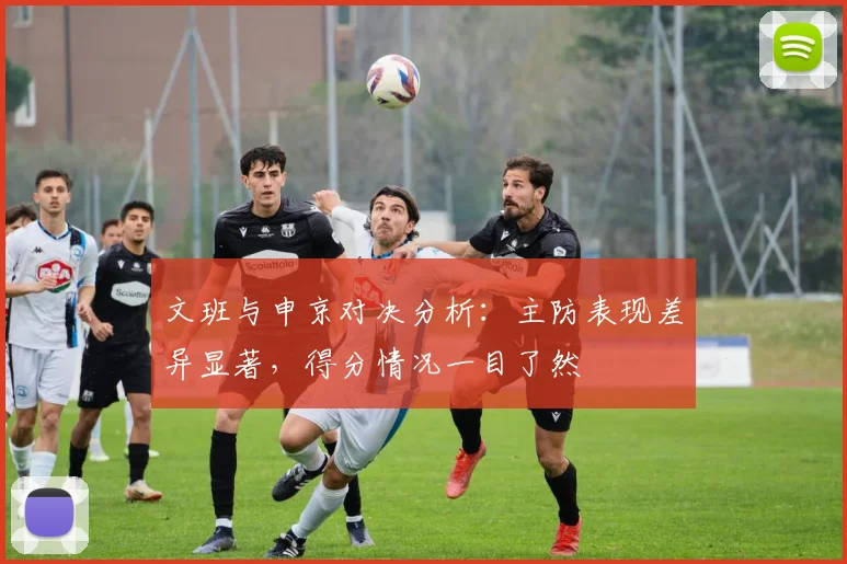 文班与申京对决分析：主防表现差异显著，得分情况一目了然